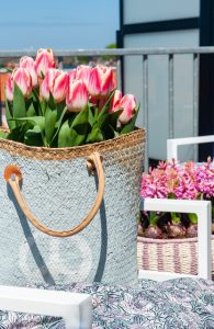 Tulipaner i krukke på altan og tagterrasse